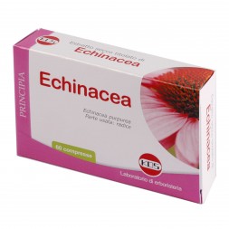 Echinacea kos compresse