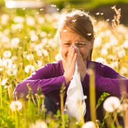 Le allergie: cause e rimedi naturali