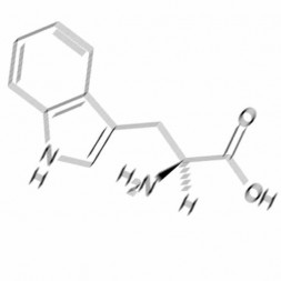 Che cosa é L-triptofano ? 