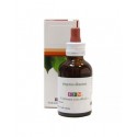 Fucus  S.I. 50ml gocce