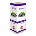 Kos - Ribes Macerato glicerico 100ml