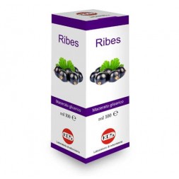 Kos - Ribes Macerato glicerico 100ml