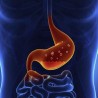 Stomaco e intestino